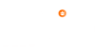 Real-time optimization illustration